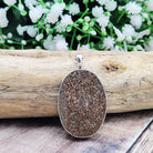 Hepburn and Hughes Dinosaur Bone Pendant | Fossilised Jewellery | Triceratops | Large Oval | Sterling Silver