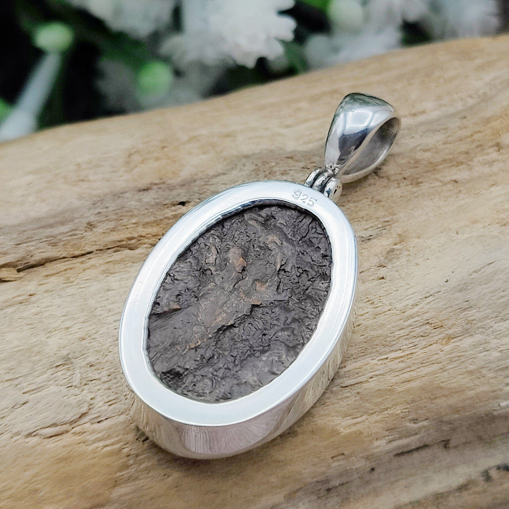 Hepburn and Hughes Dinosaur Bone Pendant | Fossilised Jewellery | Triceratops | Small Oval | Sterling Silver