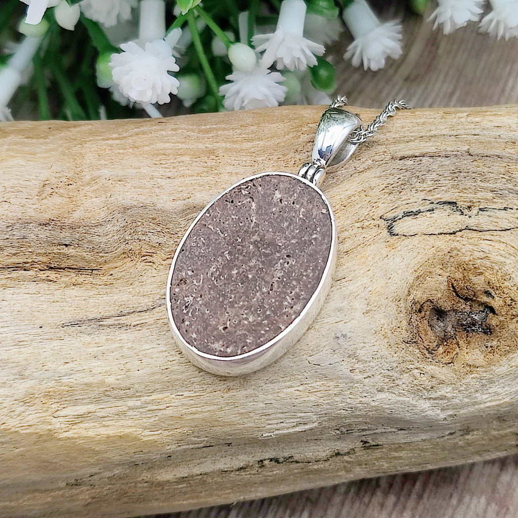 Hepburn and Hughes Dinosaur Bone Pendant | Fossilised Jewellery | Triceratops | Small Oval | Sterling Silver