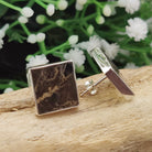 Hepburn and Hughes Dinosaur Bone Stud Earrings | Fossilised Iguanodon Bone | Square | Sterling Silver