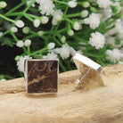 Hepburn and Hughes Dinosaur Bone Stud Earrings | Fossilised Iguanodon Bone | Square | Sterling Silver