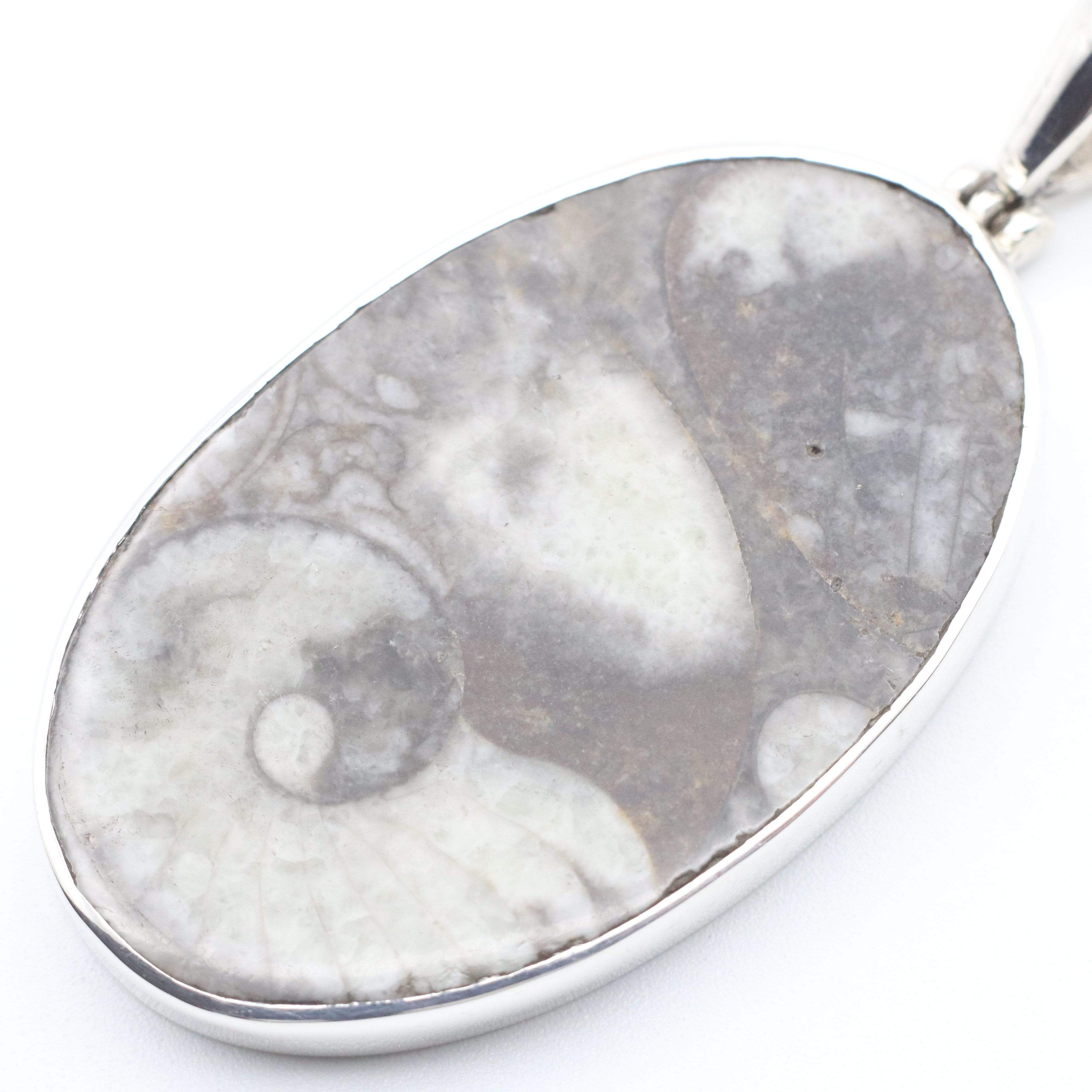 Hepburn and Hughes Fossilised Sea Creatures Pendant | Oval | Sterling Silver