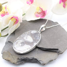 Hepburn and Hughes Fossilised Sea Creatures Pendant | Oval | Sterling Silver