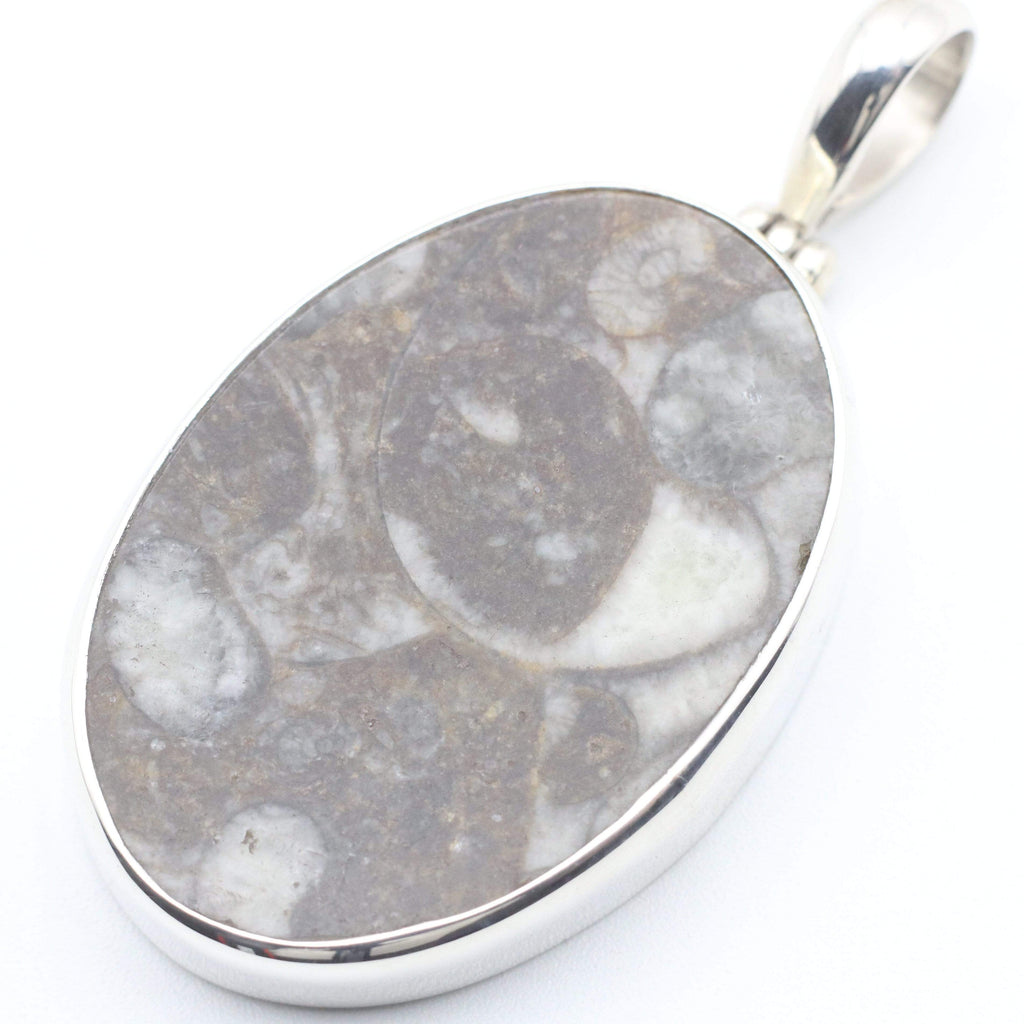 Hepburn and Hughes Fossilised Sea Creatures Pendant | Oval | Sterling Silver