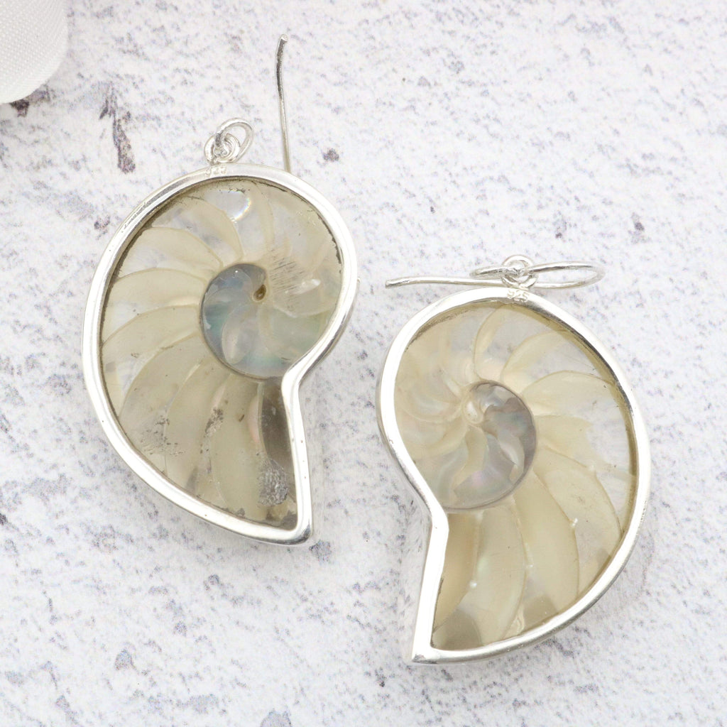 Hepburn and Hughes Nautilus shell Earrings, Clear in Sterling Silver