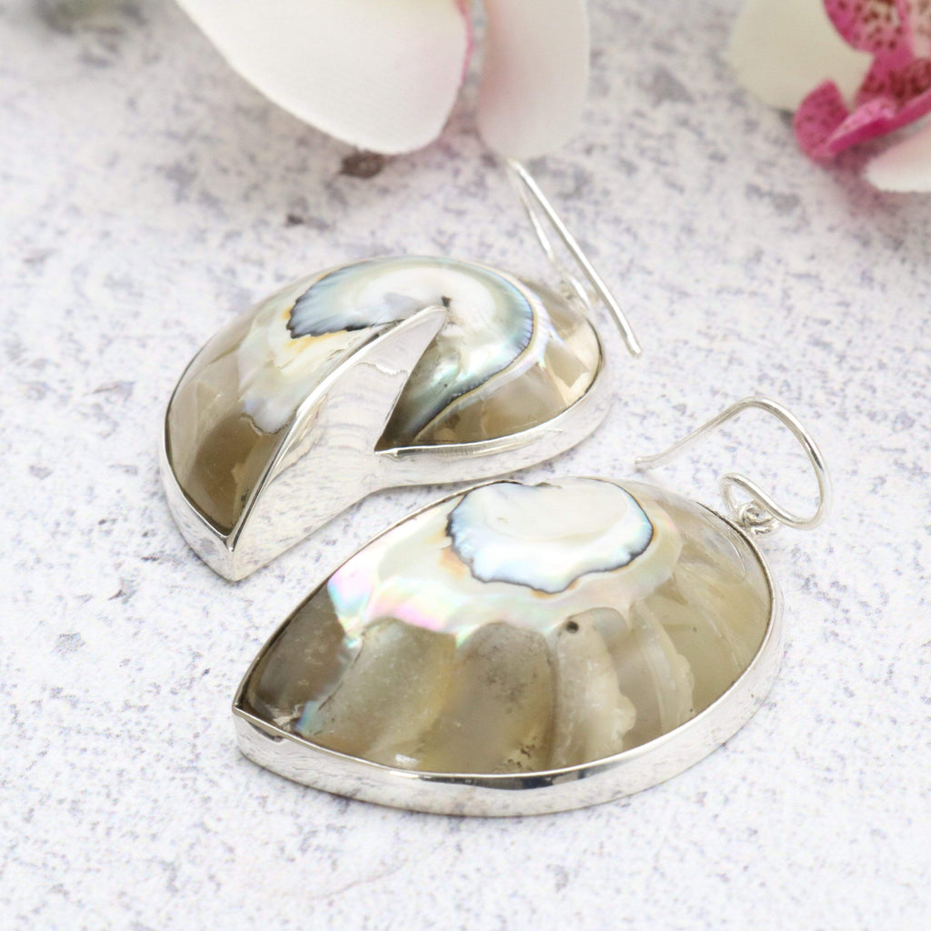 Hepburn and Hughes Nautilus shell Earrings, Clear in Sterling Silver
