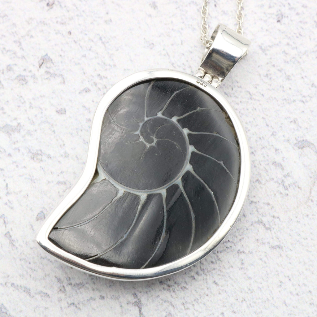 Hepburn and Hughes Nautilus Shell Pendant, small black Art Deco in Sterling Silver