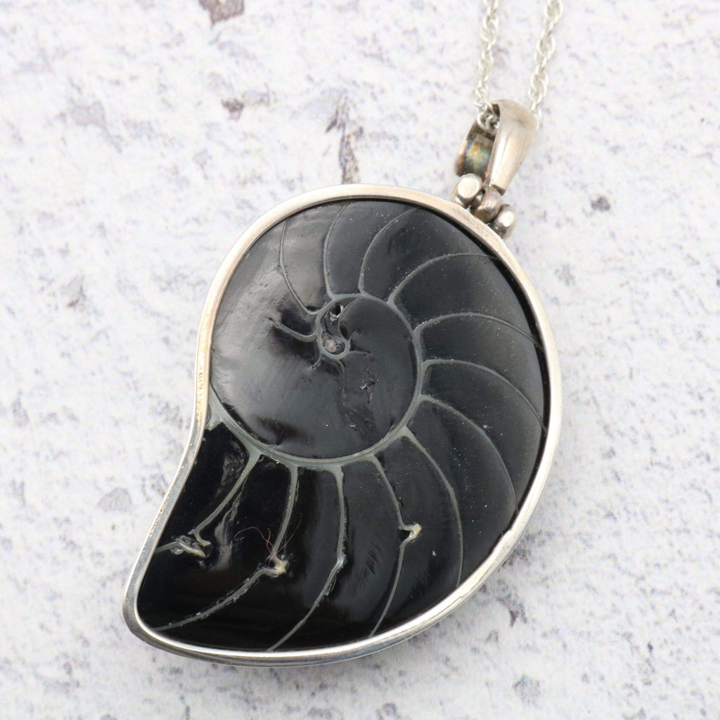 Hepburn and Hughes Nautilus Shell Pendant, small black in Sterling Silver
