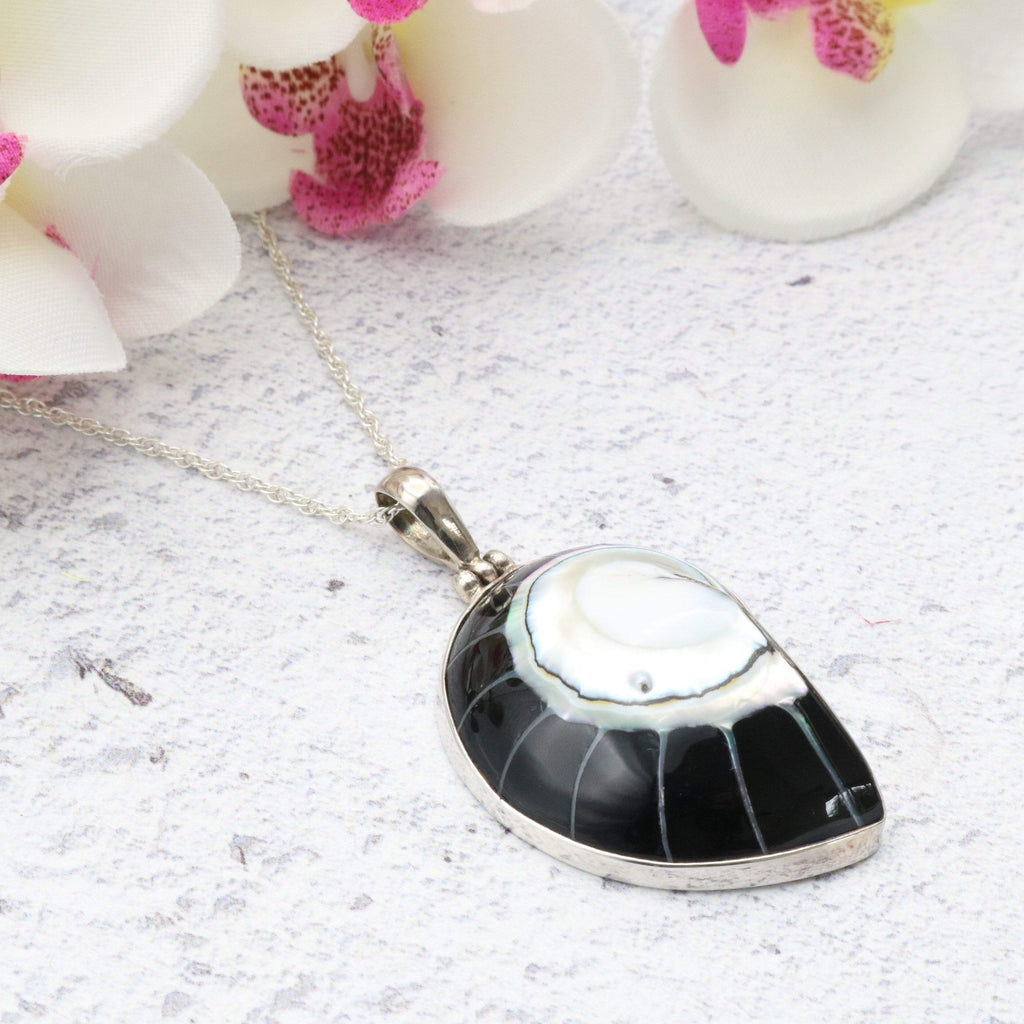 Hepburn and Hughes Nautilus Shell Pendant, small black in Sterling Silver