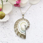 Hepburn and Hughes Nautilus Shell Pendant, small clear in Sterling Silver