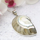 Hepburn and Hughes Nautilus Shell Pendant, small clear in Sterling Silver