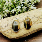 Hepburn and Hughes Tigers Eye Earrings | Oval | Sterling Silver