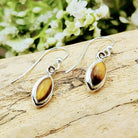 Hepburn and Hughes Tigers Eye Earrings | Small pointed oval | Sterling Silver