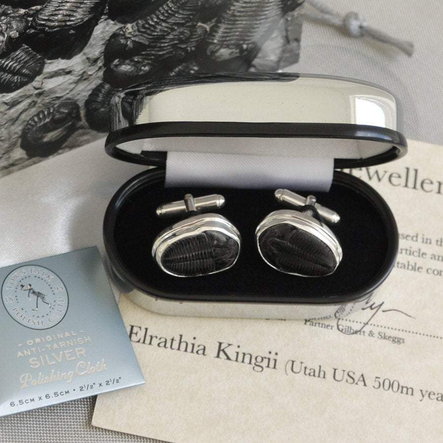 Hepburn and Hughes Trilobite Cufflinks in Sterling Silver