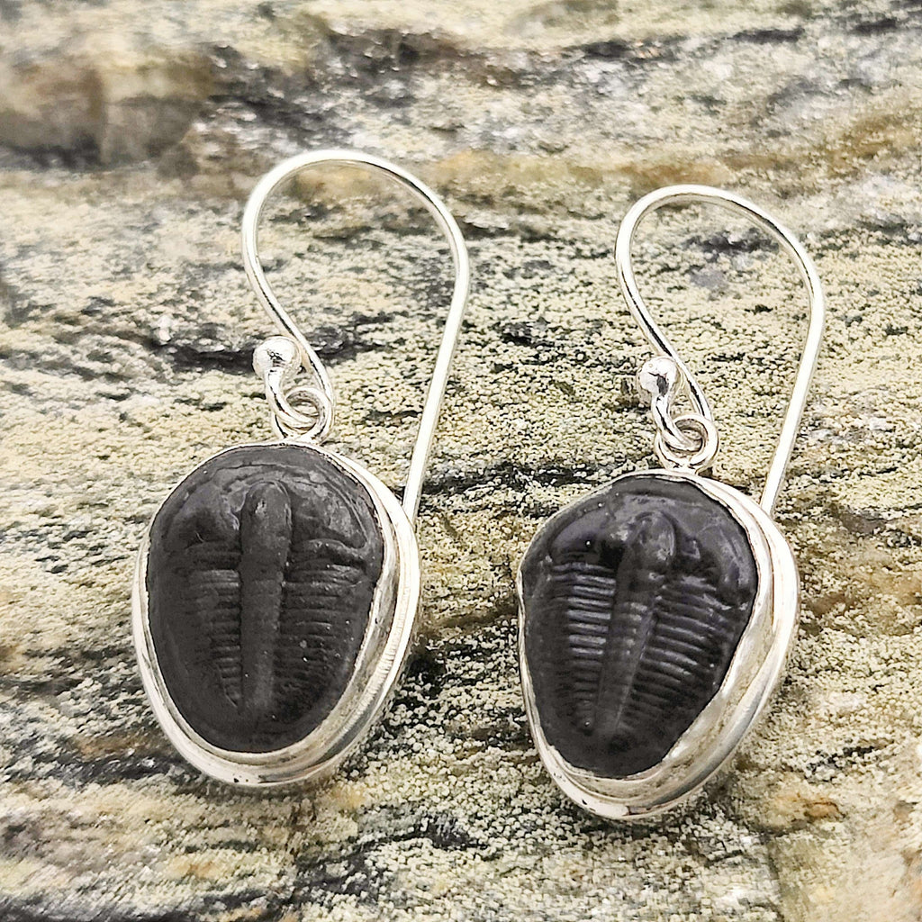 Hepburn and Hughes Trilobite Earrings | Fossil Drop Earrings | Sterling Silver