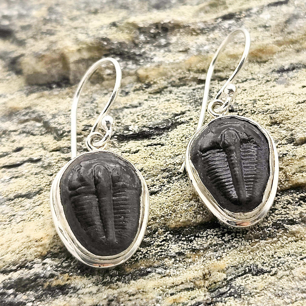 Hepburn and Hughes Trilobite Earrings | Fossil Drop Earrings | Sterling Silver