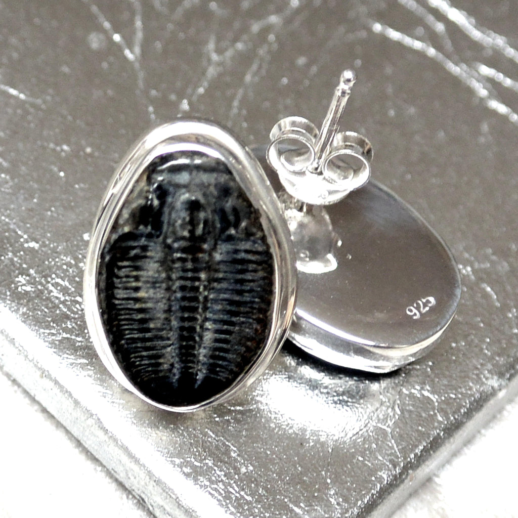 Hepburn and Hughes Trilobite Earrings | Fossil Earrings | Sterling Silver