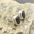 Hepburn and Hughes Trilobite Earrings | Fossil Stud Earrings | Sterling Silver