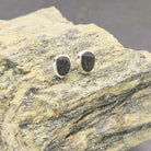 Hepburn and Hughes Trilobite Earrings | Fossil Stud Earrings | Sterling Silver