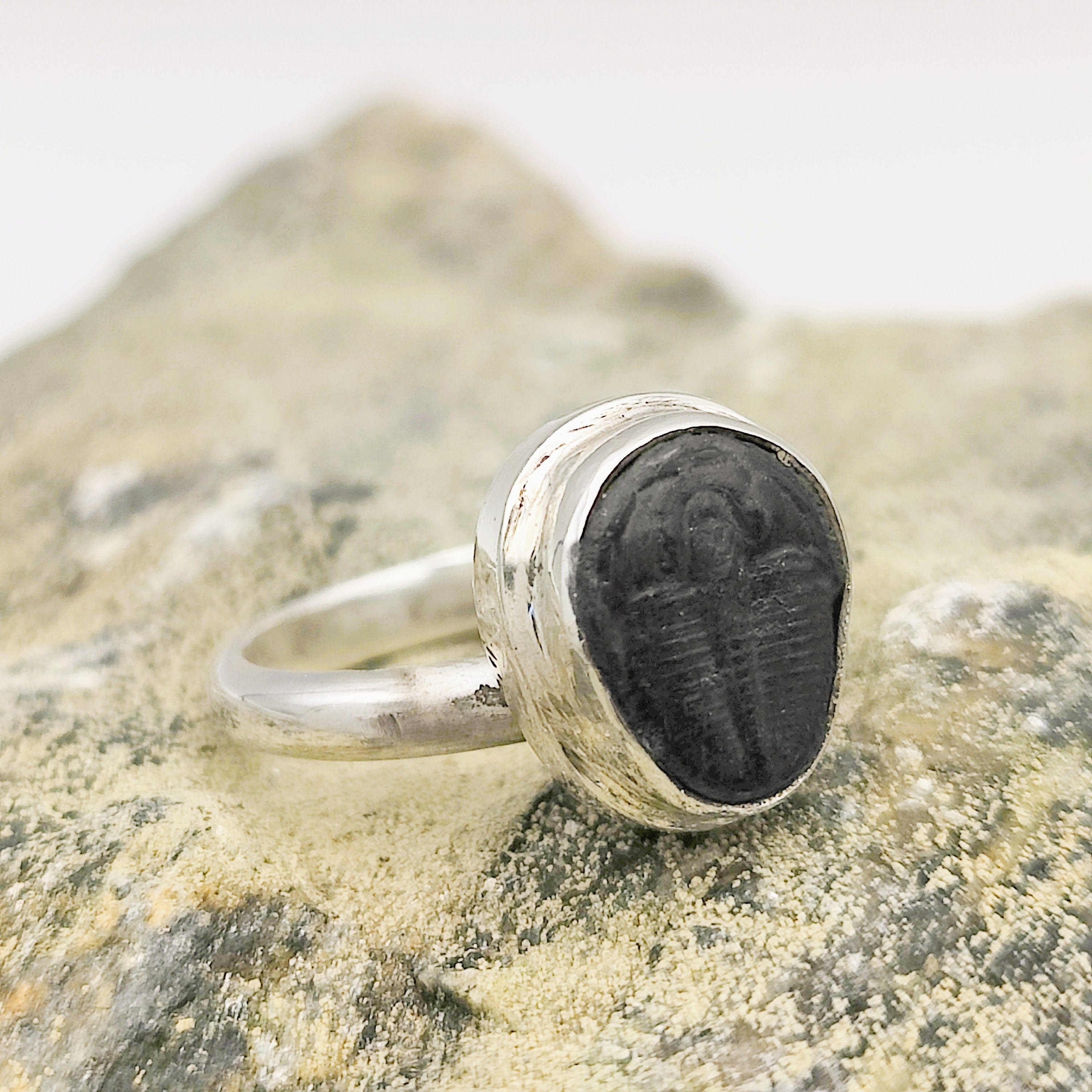 Hepburn and Hughes Trilobite Fossil Ring | 10mm Fossil | Adjustable Ring in Sterling Silver