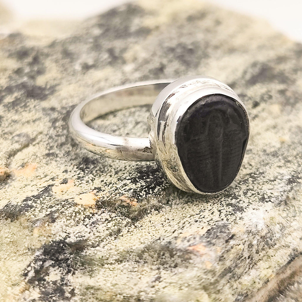 Hepburn and Hughes Trilobite Fossil Ring | 10mm Fossil | Adjustable Ring in Sterling Silver