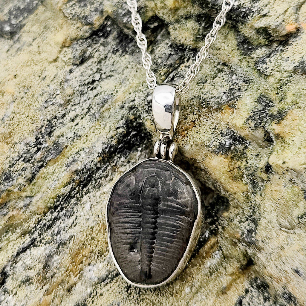 Hepburn and Hughes Trilobite Necklace | Small Fossil Pendant 18mm long | Sterling Silver