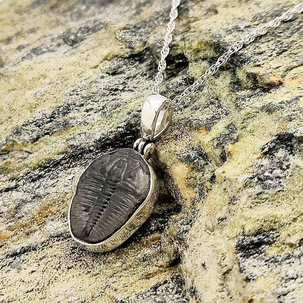 Hepburn and Hughes Trilobite Necklace | Small Fossil Pendant 18mm long | Sterling Silver