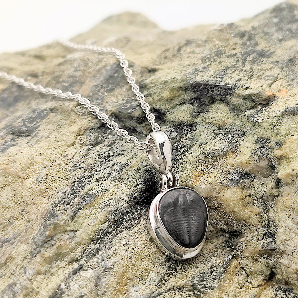Hepburn and Hughes Trilobite Necklace | Small Fossil Pendant | Sterling Silver