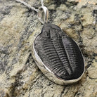 Hepburn and Hughes Trilobite Pendant | Fossil Necklace | Large | Sterling Silver