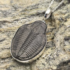 Hepburn and Hughes Trilobite Pendant | Fossil Necklace | Large | Sterling Silver