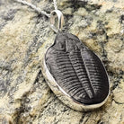 Hepburn and Hughes Trilobite Pendant | Fossil Necklace | Large | Sterling Silver