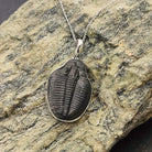 Hepburn and Hughes Trilobite Pendant | Fossil Necklace | Large | Sterling Silver