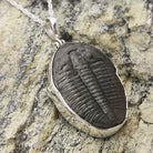 Hepburn and Hughes Trilobite Pendant | Fossil Necklace | Medium | Sterling Silver