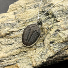 Hepburn and Hughes Trilobite Pendant | Fossil Necklace | Medium | Sterling Silver