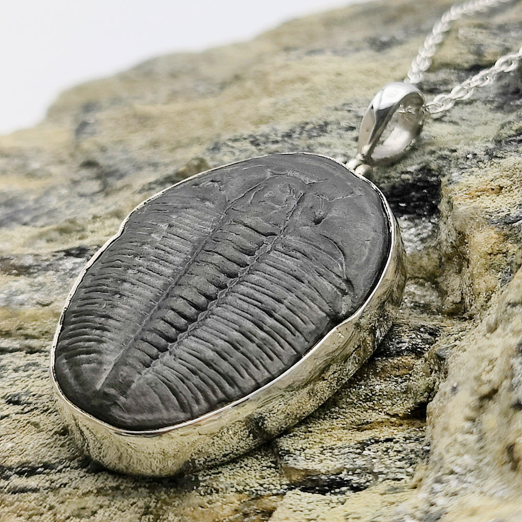 Hepburn and Hughes Trilobite Pendant | Fossil Necklace | Medium | Sterling Silver