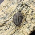 Hepburn and Hughes Trilobite Pendant | Fossil Necklace | Medium | Sterling Silver