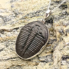 Hepburn and Hughes Trilobite Pendant | Fossil Necklace | Medium | Sterling Silver