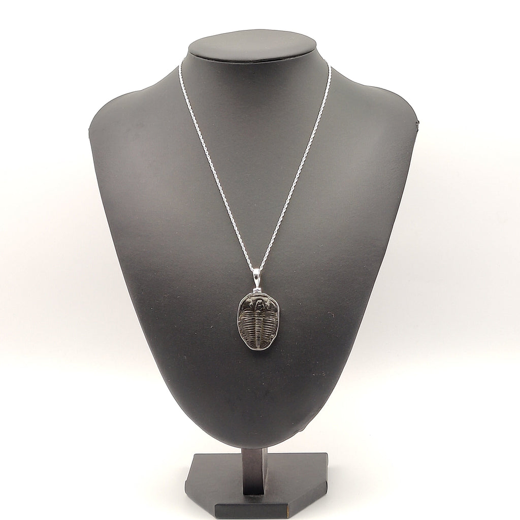 Hepburn and Hughes Trilobite Pendant | Fossil Necklace | Medium | Sterling Silver